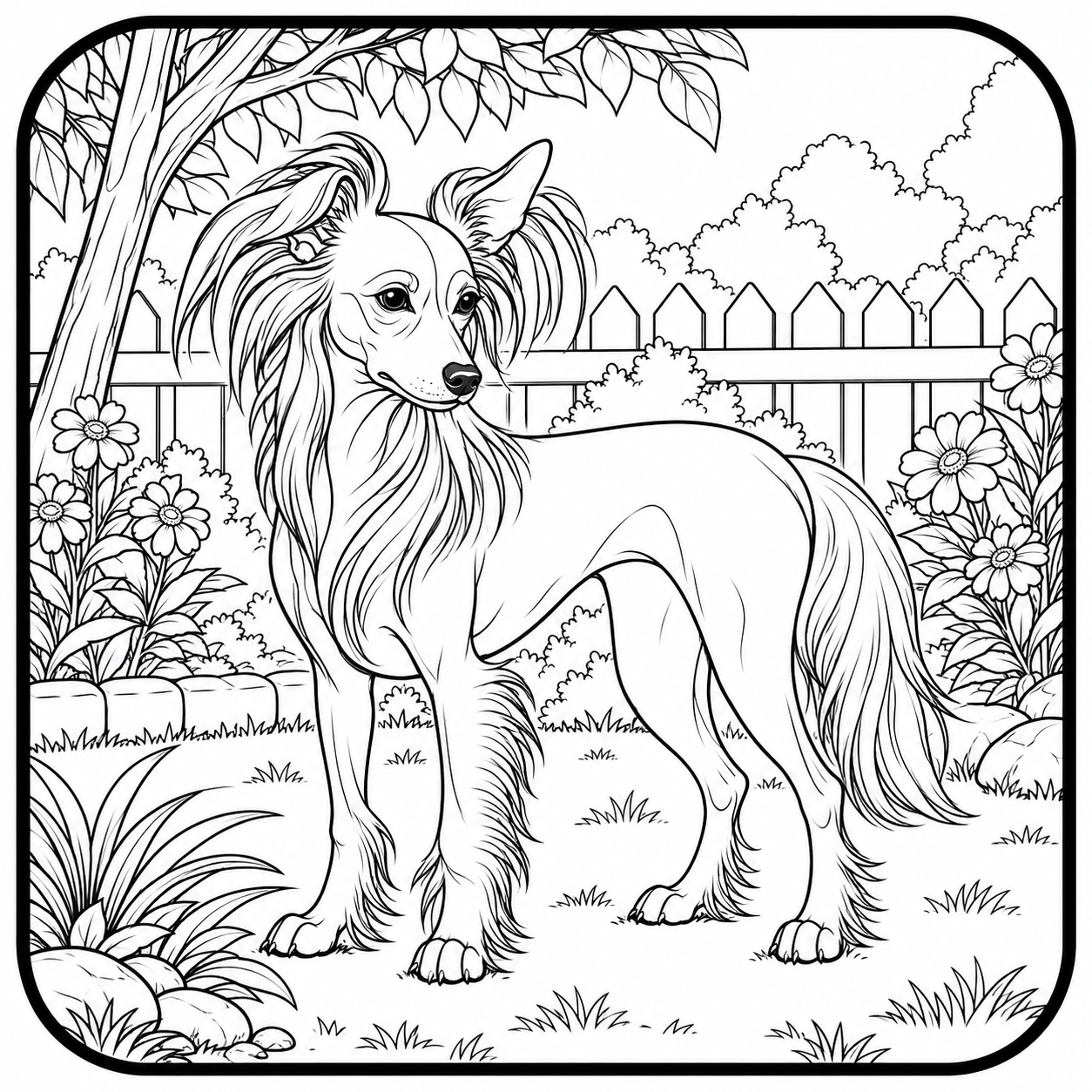 chinese crested in a garden frame
